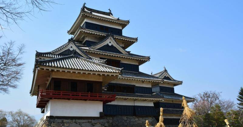 Pexels/SHIMADA MASAKI